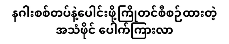 A pre-arranged audio file to join the dragon army has leaked