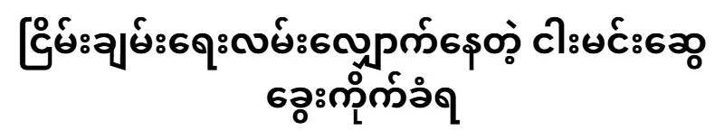 Myng Min Swe Kwe, who was walking for peace, was bitten