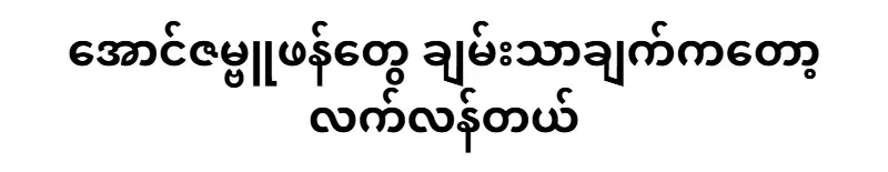 Aung Zambu Phang's wealth is languishing