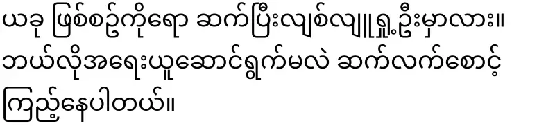 Maung Maung Lwin who physically assaulted a fan