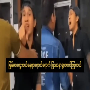 Wherever the Burmese go, they tend to find problems