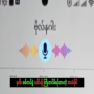 A pre-arranged audio file to join the dragon army has leaked