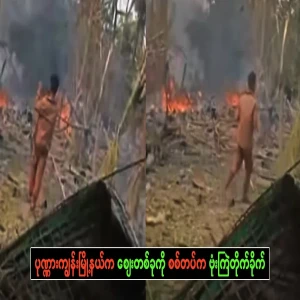 It happened in Brahmin Island