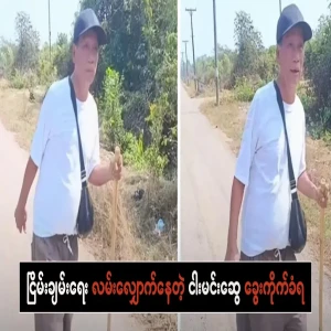 Myng Min Swe Kwe, who was walking for peace, was bitten