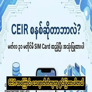 CEIR is thoroughly explained
