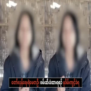 It happened in this tree