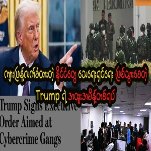 Bad news for countries that have adopted tigers