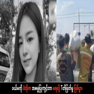 Brother-in-law's made of his sister-in-law caused a divorce