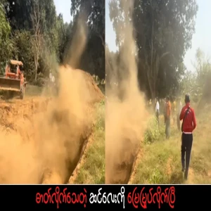 The electrocuted baby elephant has been buried